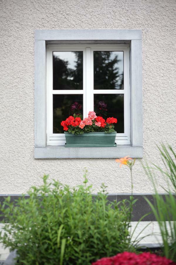 Les Sansonnets Hotel Vaux-sur-Sure ภายนอก รูปภาพ